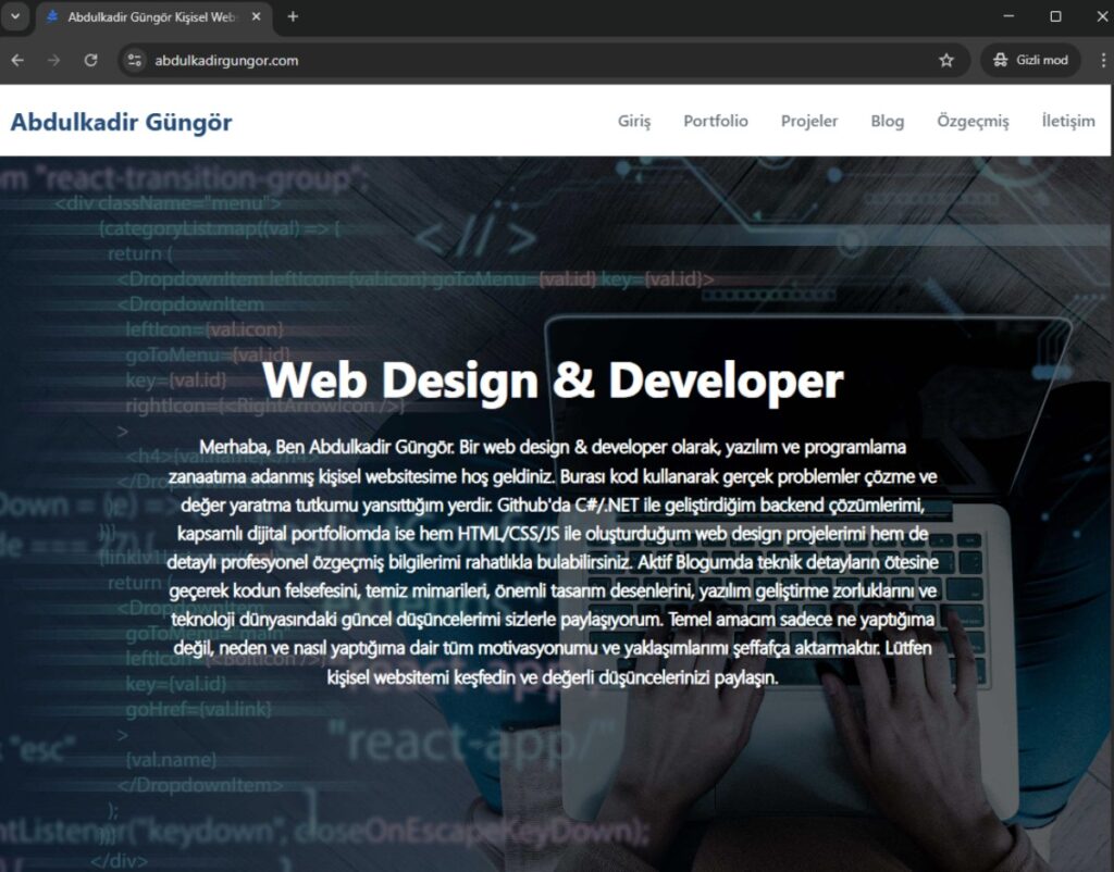 web design & developer (4)